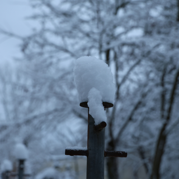 Winterimpressionen