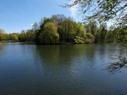 Seeblick