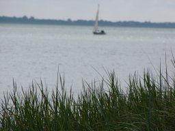Naturfoto auf Sylt